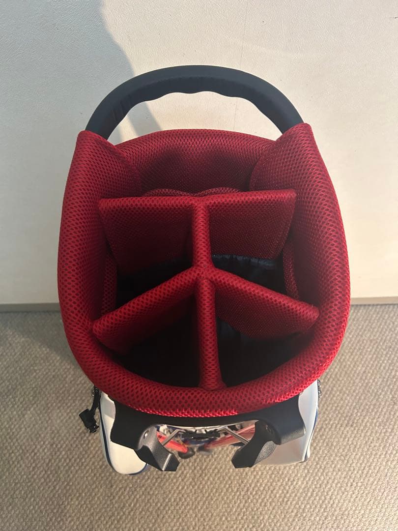 【希少美品】ダイナミックゴールド・キャディーバッグ・TRUETEMPER