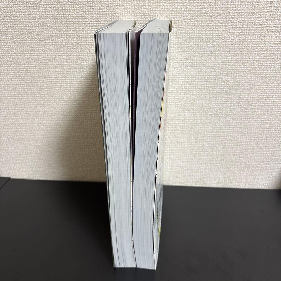 鬼滅の刃 竈門炭治郎 立志編　アニメーション原画集　上下セット　吾峠呼世晴