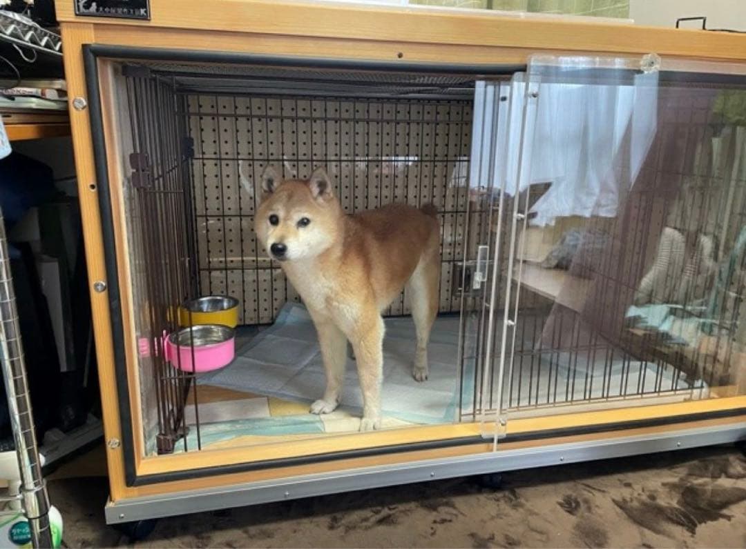 3104 防音ケージ キャスター 約102.5cm 72cm 84cm