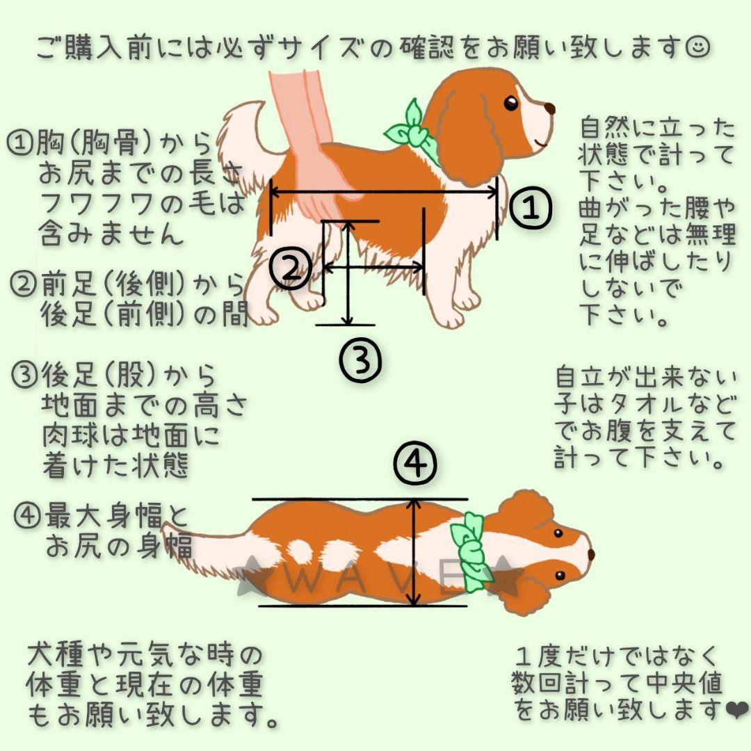 nom　犬用車椅子　犬の歩行器　フレブル　犬の車いす　リハビリ２輪 中型犬