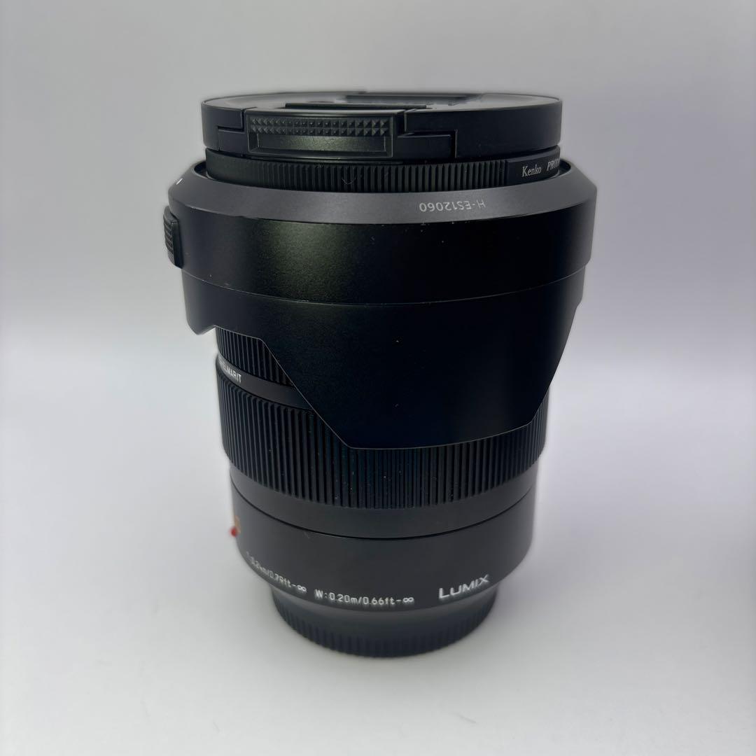 ⭐️LEICA DG VARIO-ELMARIT 12-60mm F2.8-4.0