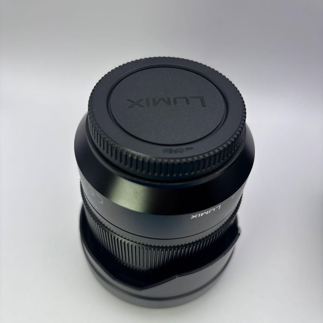 ⭐️LEICA DG VARIO-ELMARIT 12-60mm F2.8-4.0