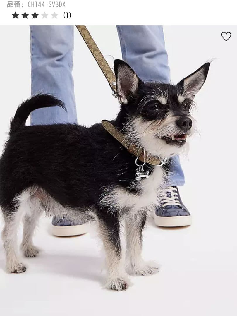 coach dog collar シグネチャー リード&首輪 セット 小型犬