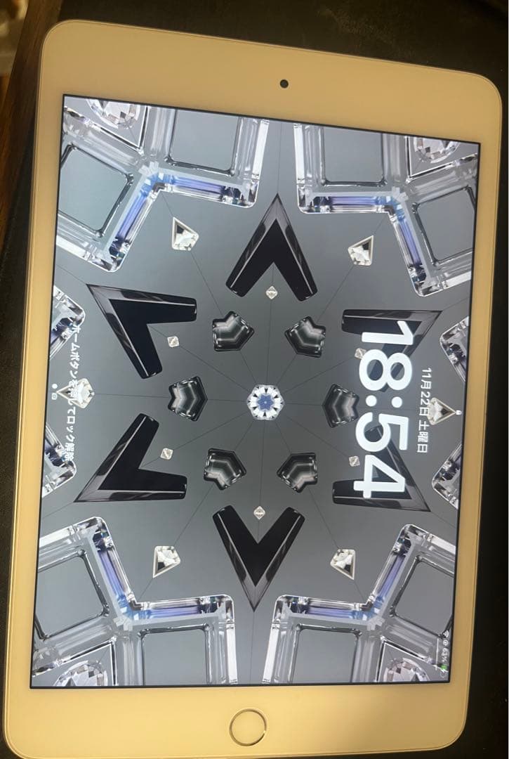 Apple iPad mini5 シルバー 本体(84%）