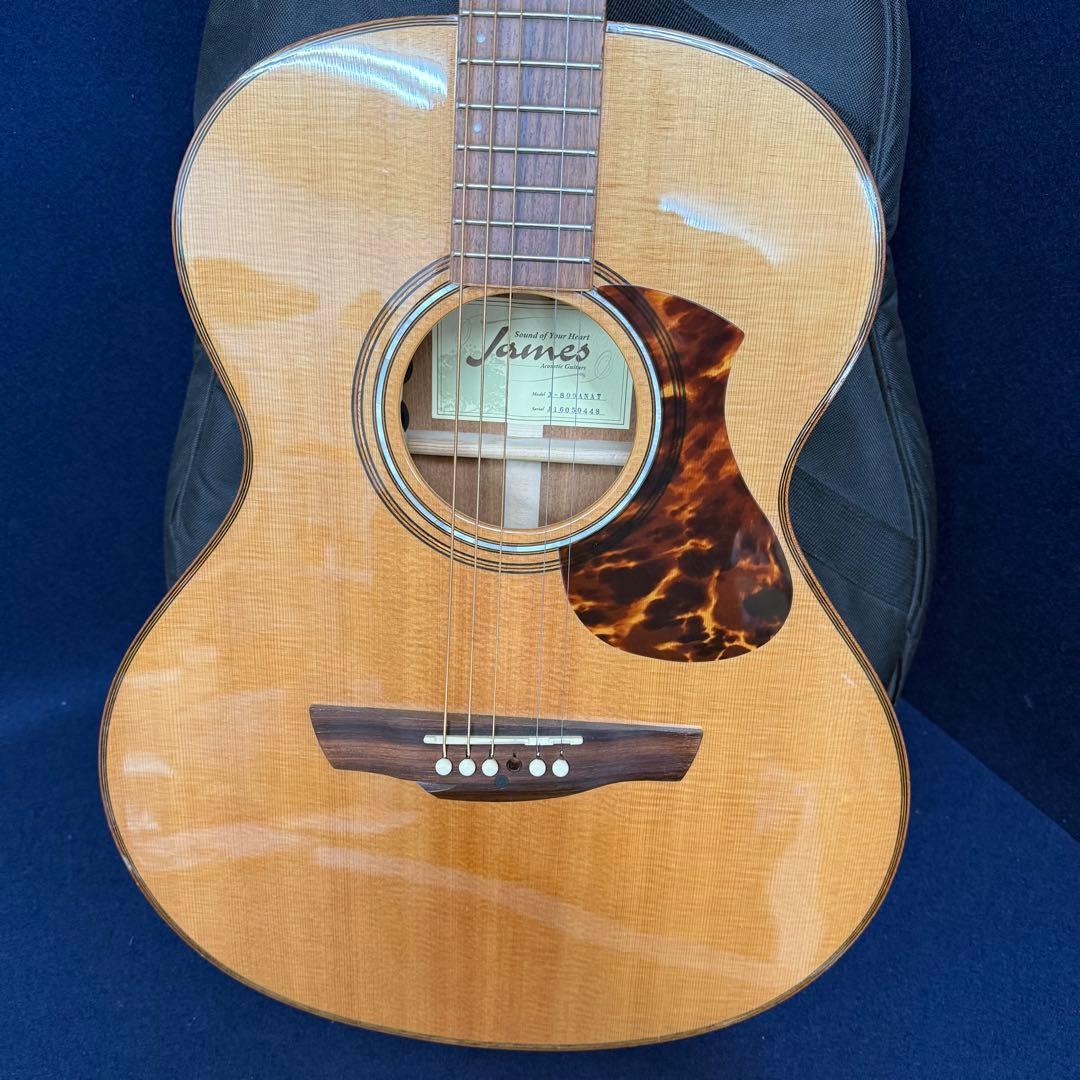 James ジェームス J-800ANAT アコースティックギター ソフトケース