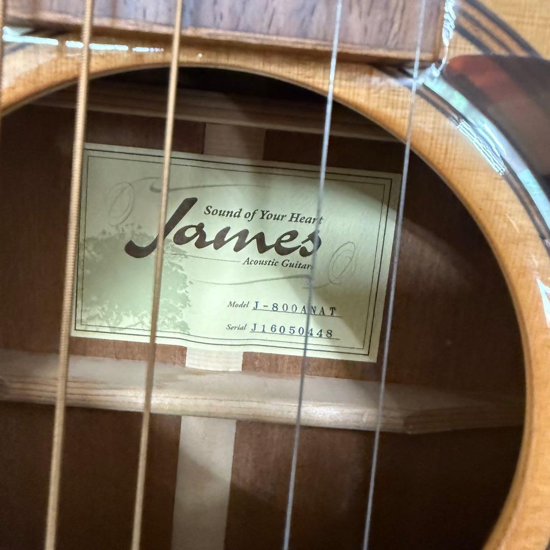 James ジェームス J-800ANAT アコースティックギター ソフトケース