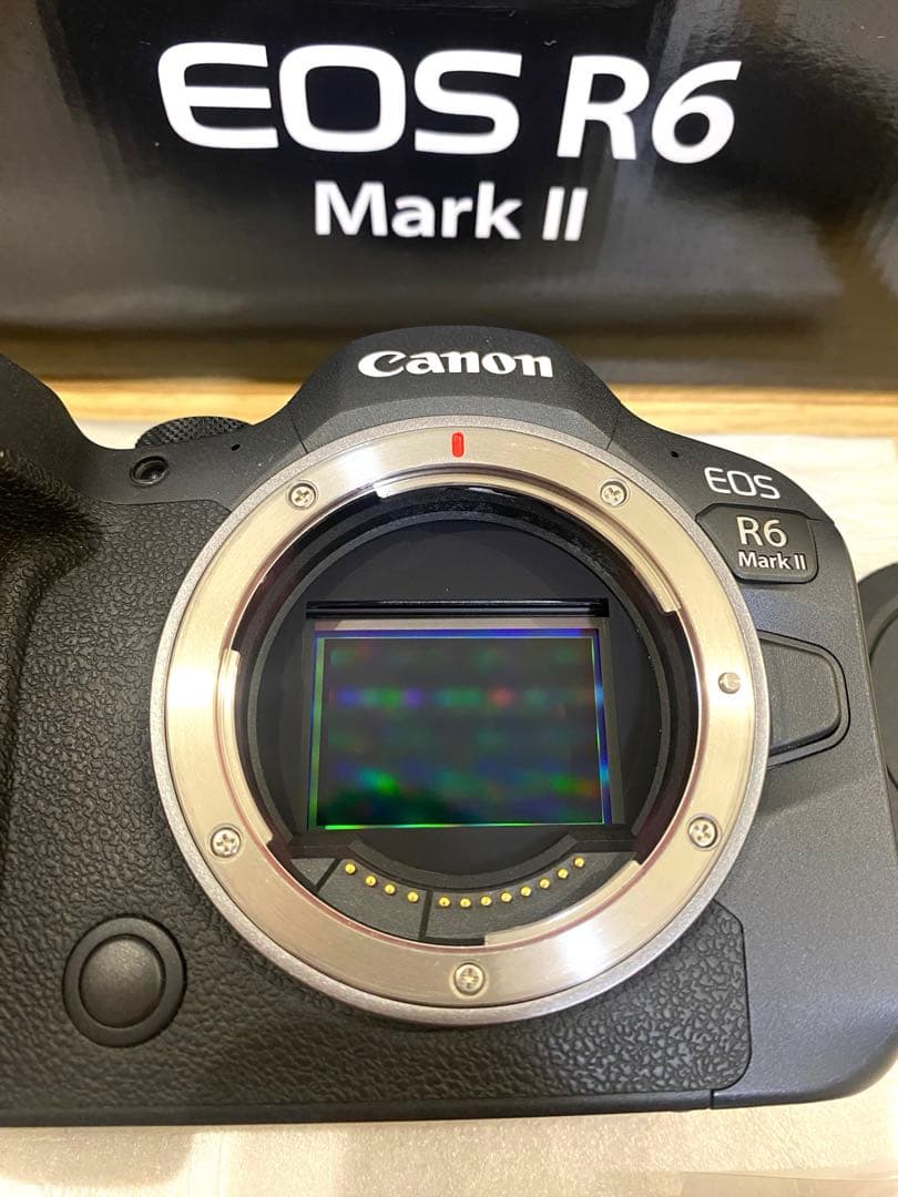 Canon EOS R6 Mark II 本体
