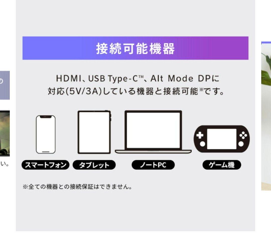R7年アイリスオーヤマ ポータブルモニター DP-EF184S-B 18.5型