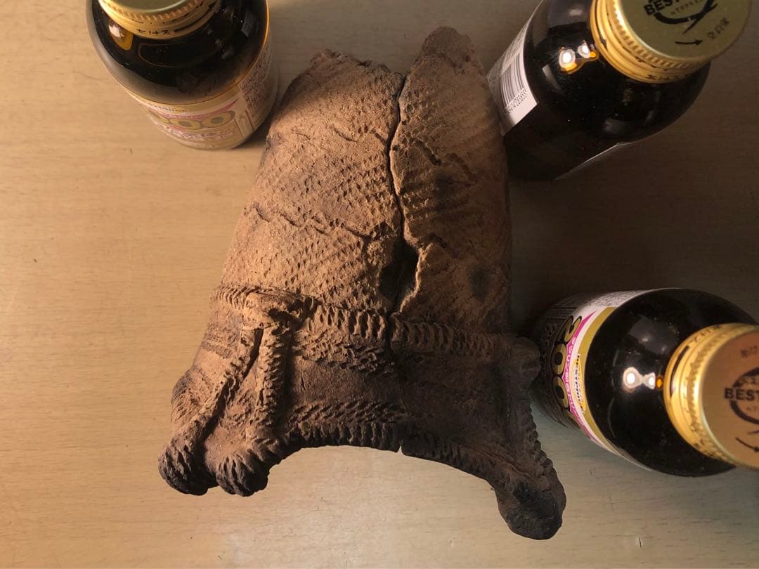 「縄文土器の欠片 No.528」です。