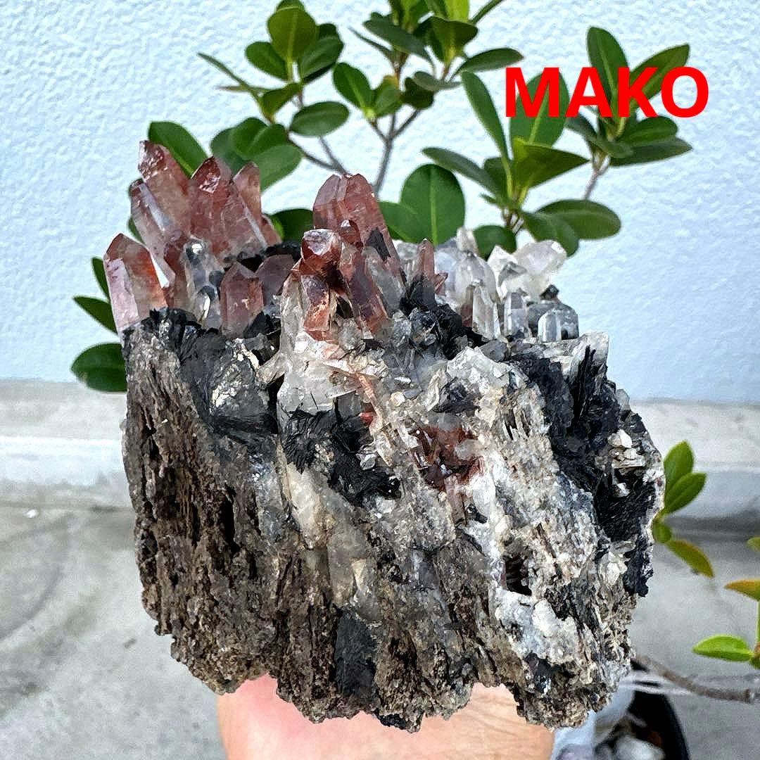 M1794☆アイアンローズ共生赤水晶クラスター1.7Kg☆広東省産☆N20720