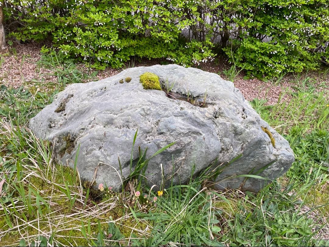 灰色 庭石 大 約140×40×50㎝ 苔付【石川県引き取り限定】まとめ割