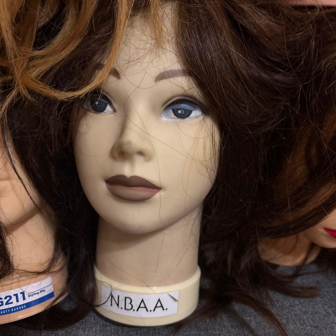 人毛100% カットウィッグ10頭　BG111、N.B.A.A