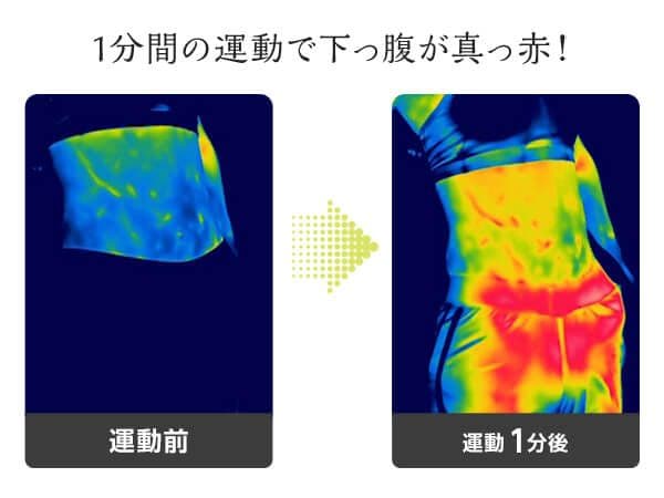 ゆらこ【ブラウン】ショップジャパン