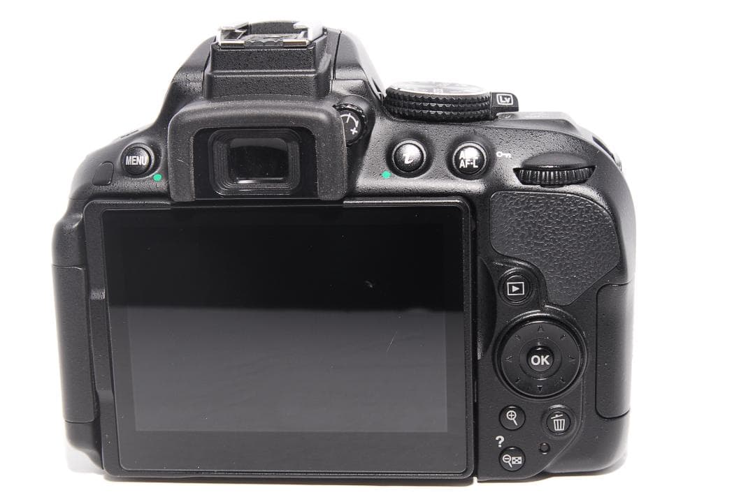 ✨Wi-Fi搭載機 付属品多数✨Nikon D5300 レンズセット