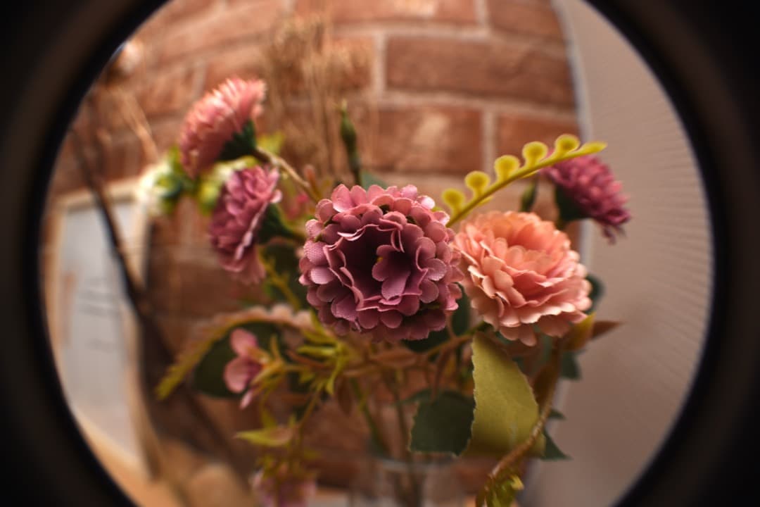 【激レア】ワイドコンバージョンレンズ 52mm用 0.42倍 【魚眼】【作例】