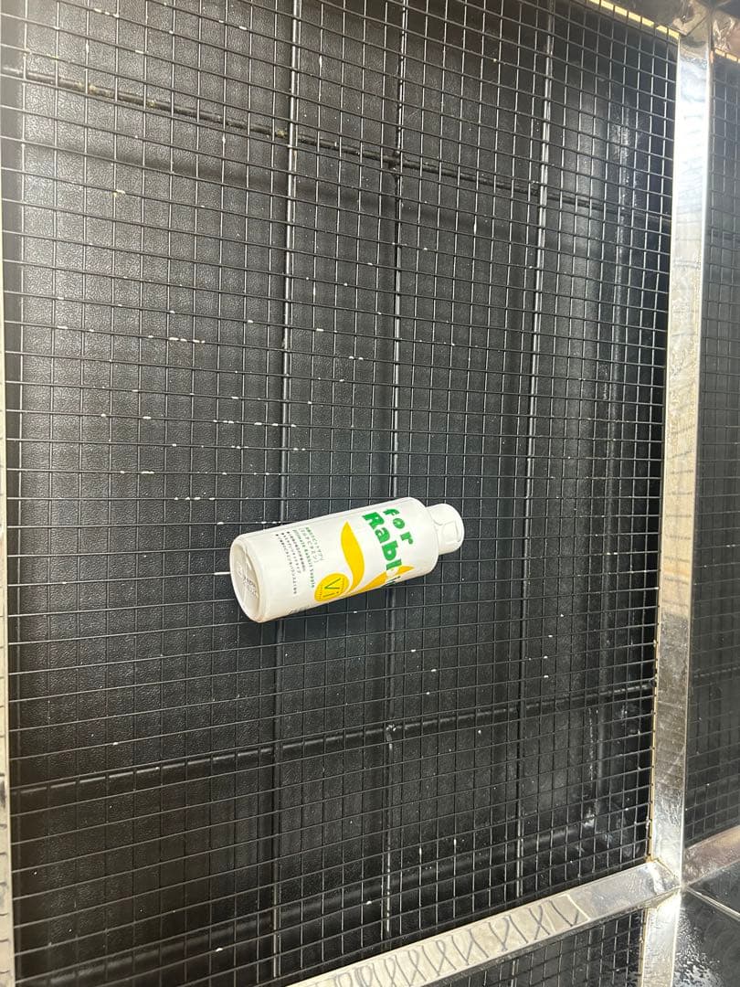 プロゲージ　うさぎのしっぽ　60 うさぎゲージ