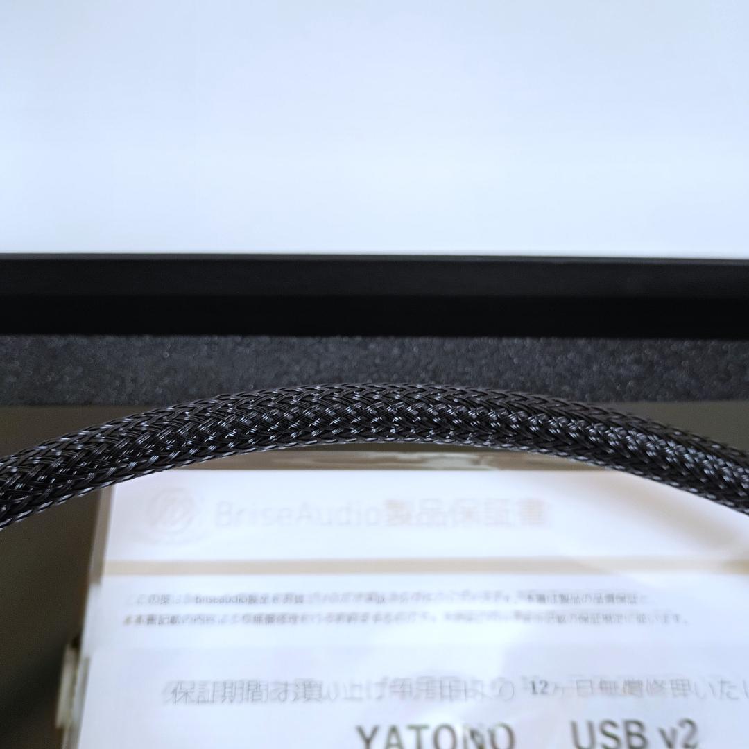 【値下げ！】Brise Audio YATONO USB v2