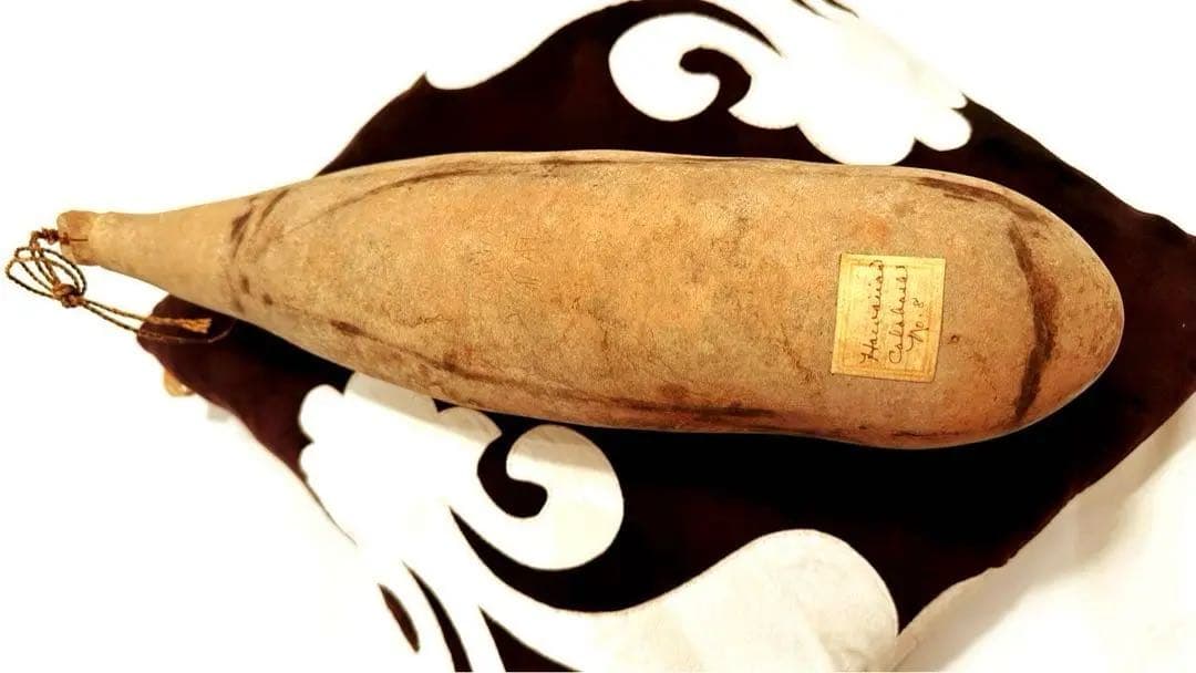 The Hawaiian Calabash antique fish hook付