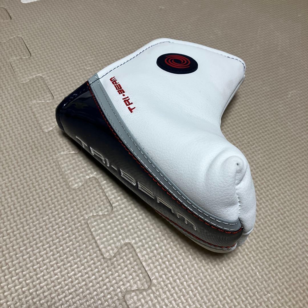 ODYSSEYオデッセイTRI-BEAM DOUBLE WIDE CH カバー付