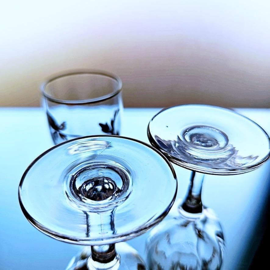 金彩オールドバカラ 花模様の豪華なリキュールセット 1936年以降