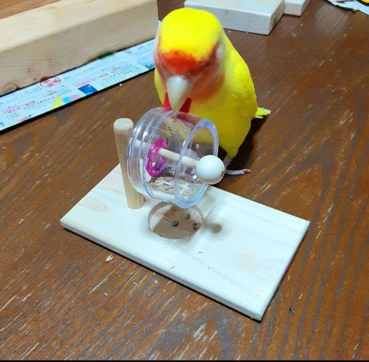 g157　止まり木　Tパーチ　スタンド　バードトイ　フォージングトイ色々セット