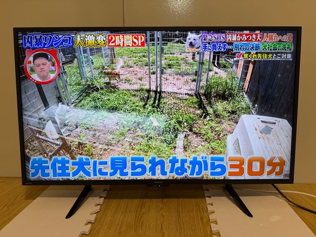 美品SHAP シャープ 2T-C42BE1 42型2021年製⭕️上地、BS/CS