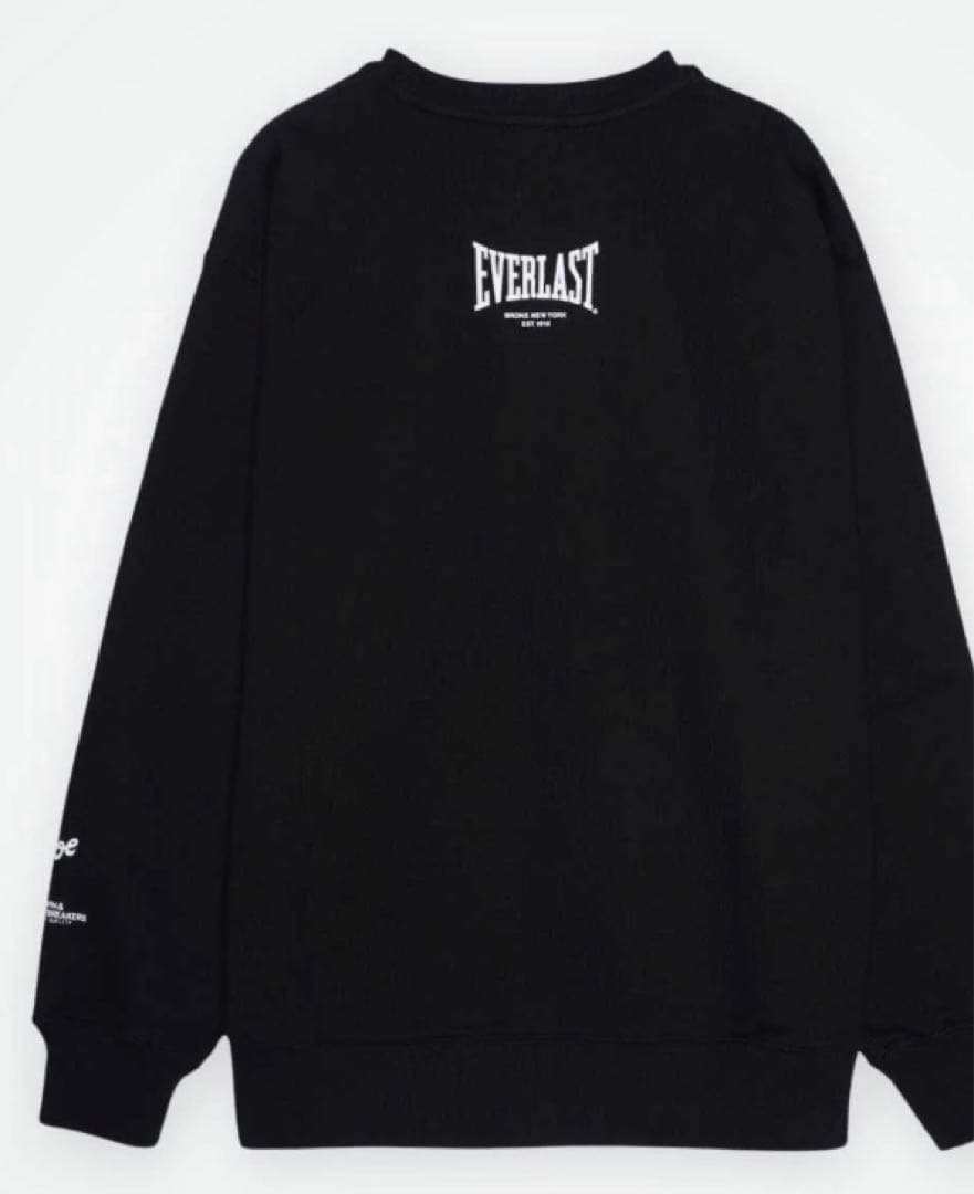 EVERLAST TATSUYOSHI BEDWIN SWET 辰吉 ボクシング
