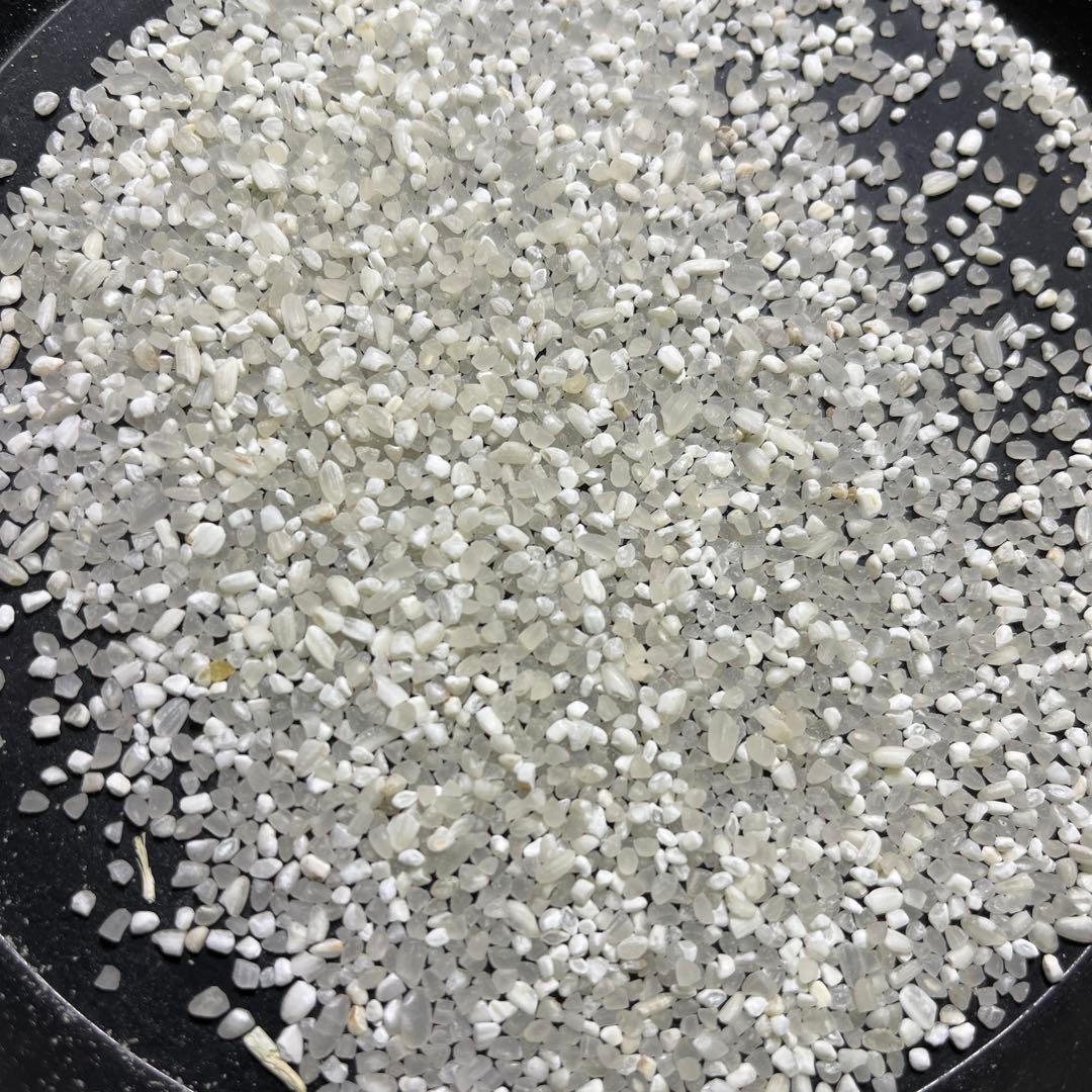 鳥餌 小動物 砕米20キロ