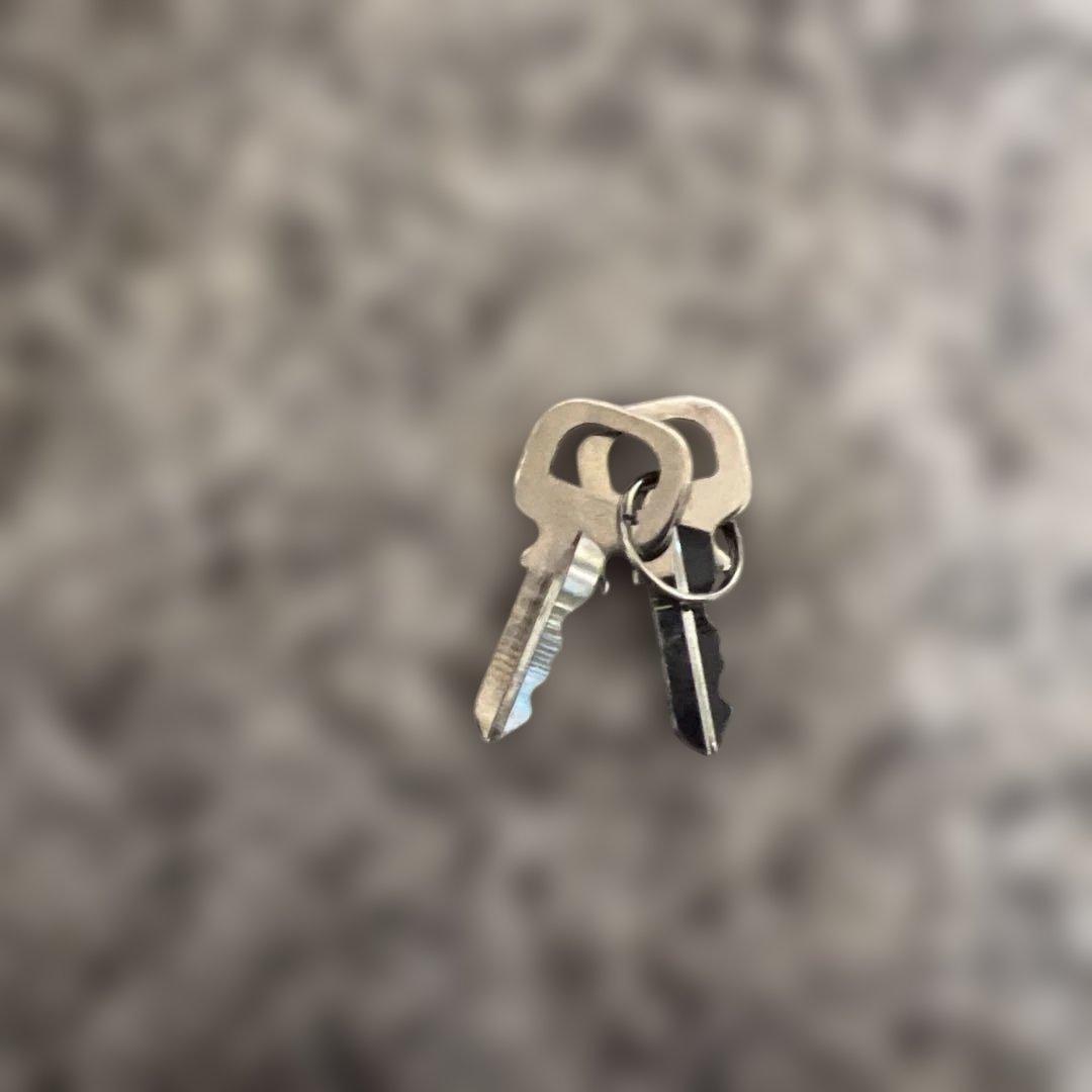 LOUIS VUITTON ルイヴィトン カップ南京錠シルバー