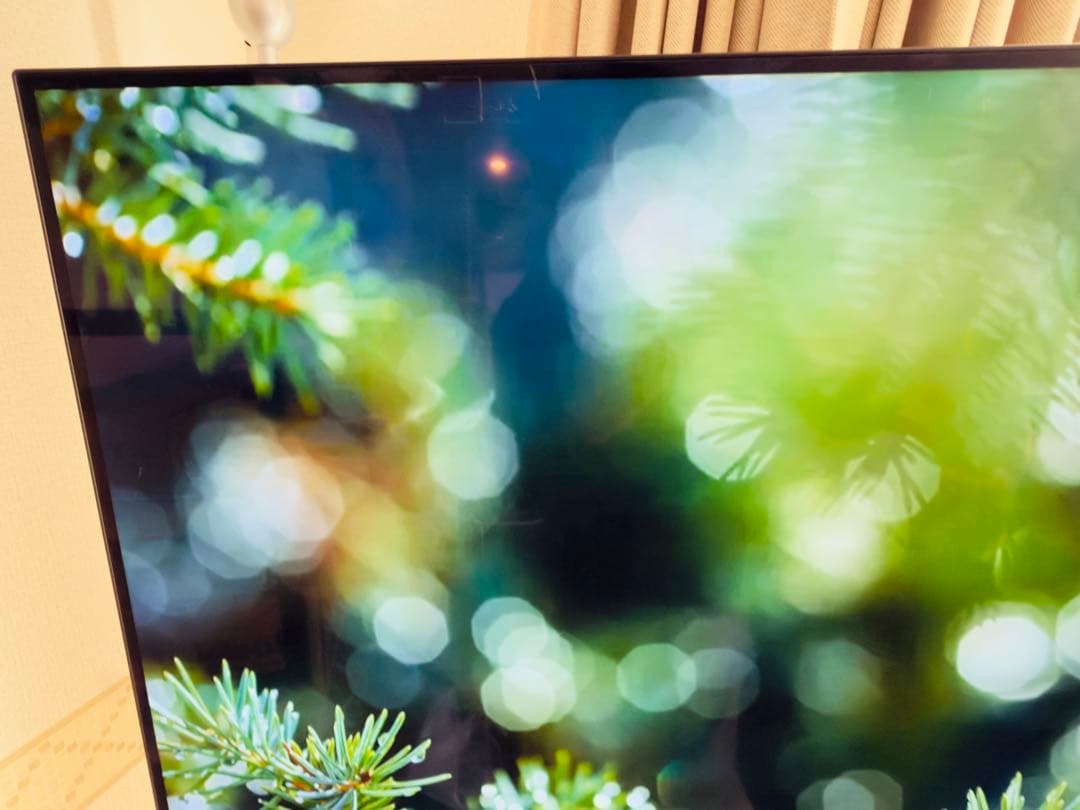 47万★美品】SONY BRAVIA XRJ-55A80J 4K有機ELテレビ