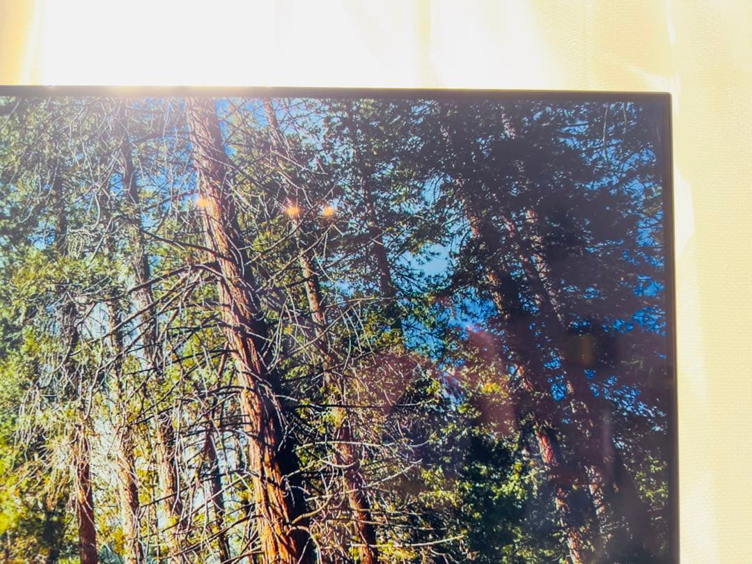 47万★美品】SONY BRAVIA XRJ-55A80J 4K有機ELテレビ