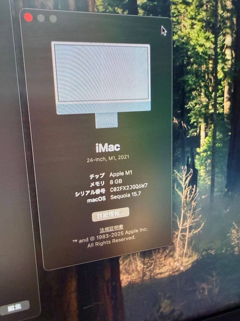 Apple iMac 24インチ 8/256GB ブルー ジャンク