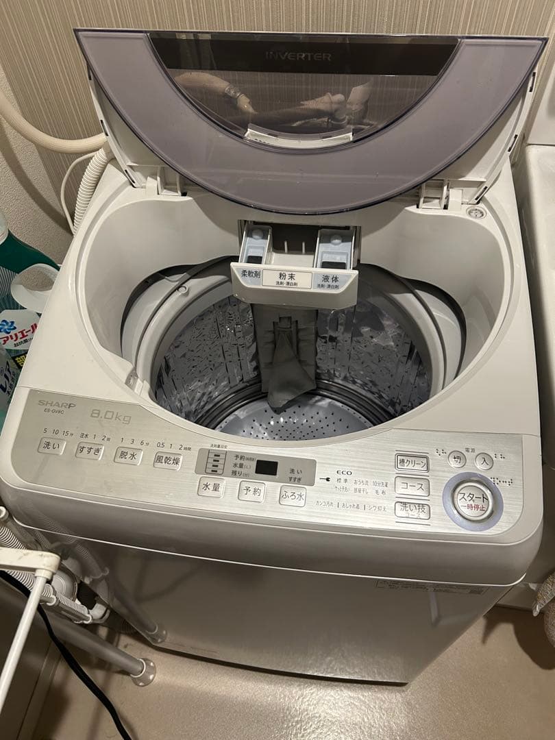 2019年製　SHARP ES-GV8C 縦型洗濯機8.0kg