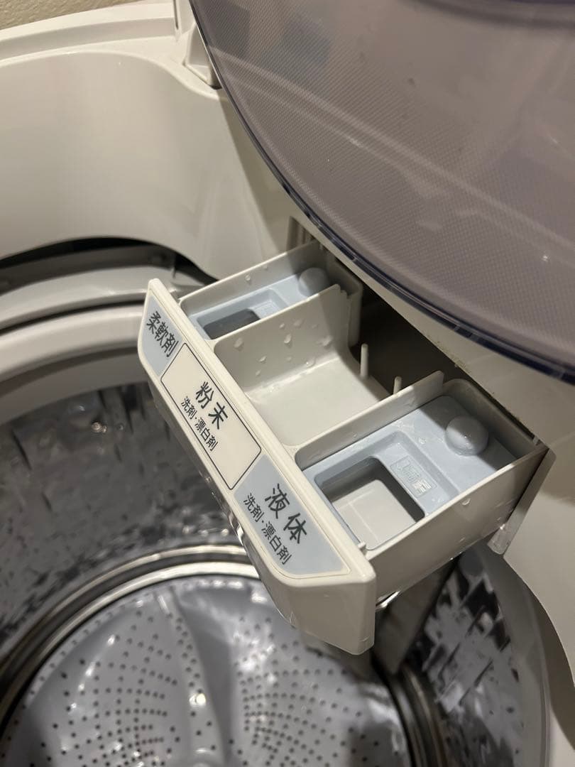 2019年製　SHARP ES-GV8C 縦型洗濯機8.0kg