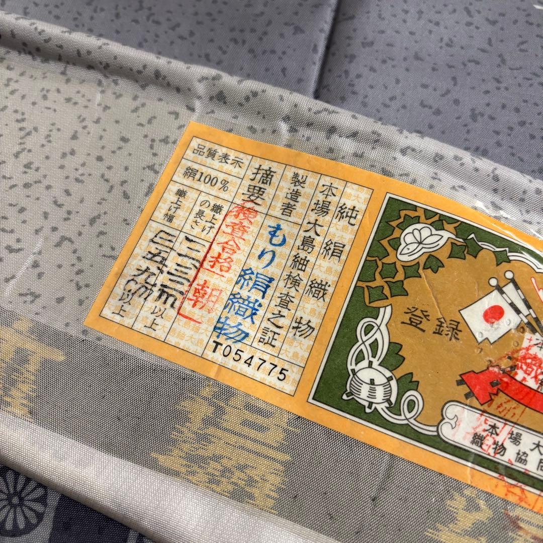 本場縞大島紬 染め大島 もり絹織物 美しい染め 証紙付き 付下げ AK-4924