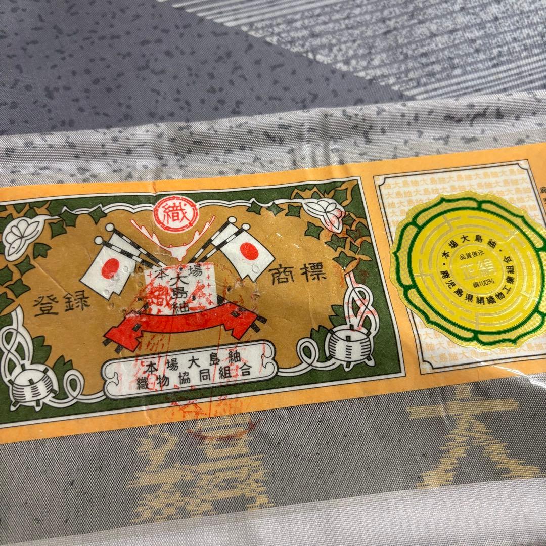 本場縞大島紬 染め大島 もり絹織物 美しい染め 証紙付き 付下げ AK-4924