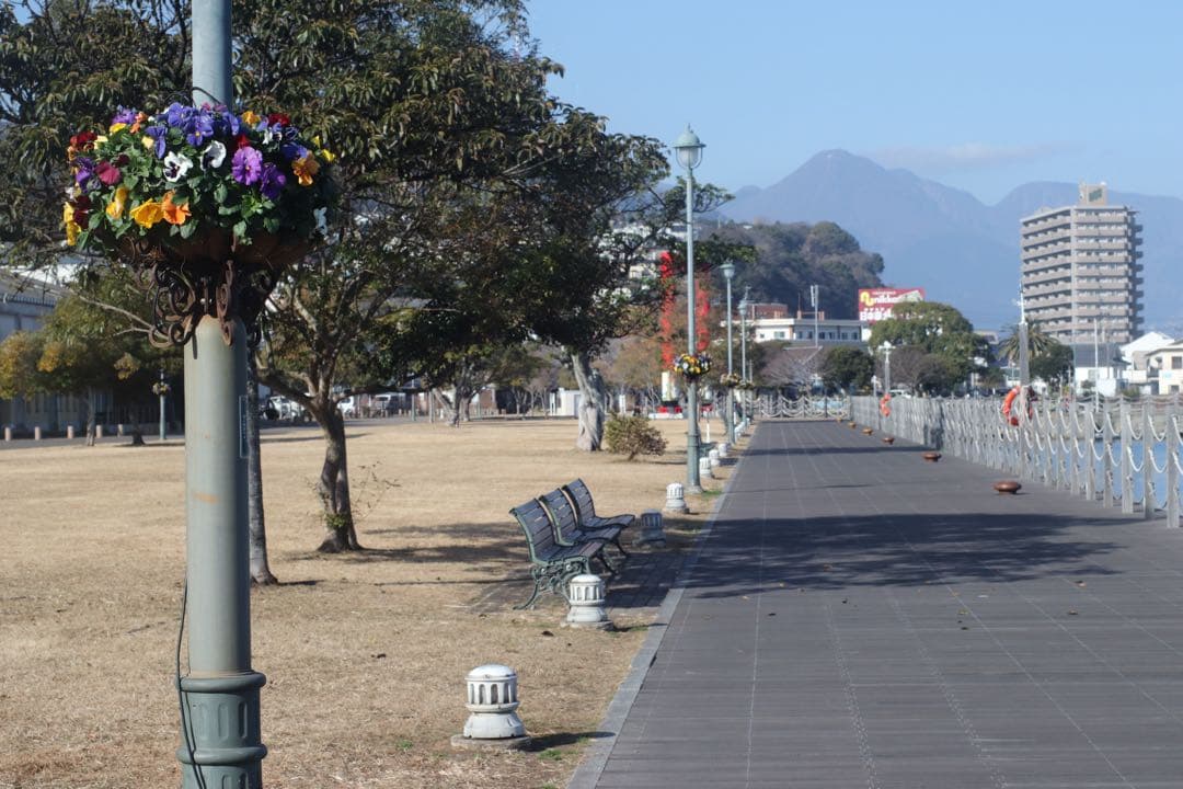 ★ OLYMPUS OM-2 BLACK + 標準レンズ 50mm F1.4