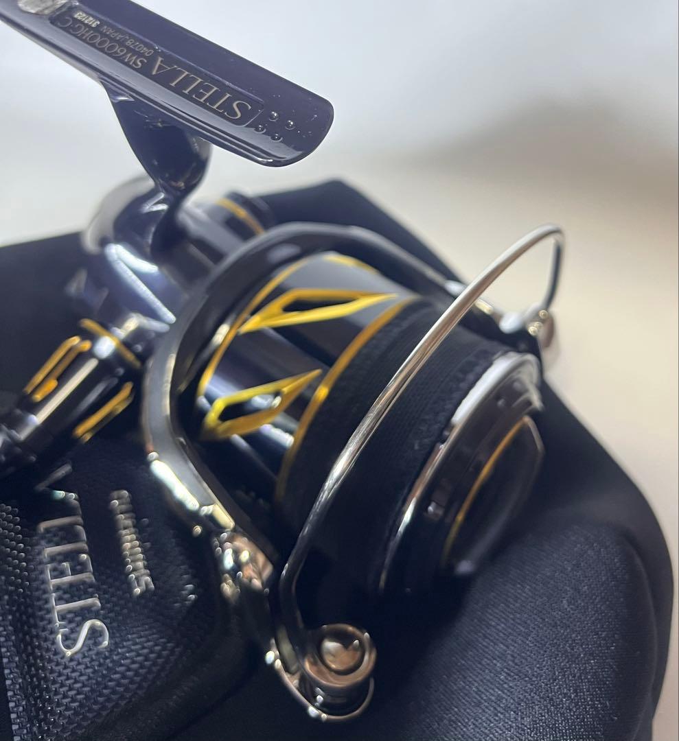 【Yuyuri商品】シマノ20ステラSW6000HG