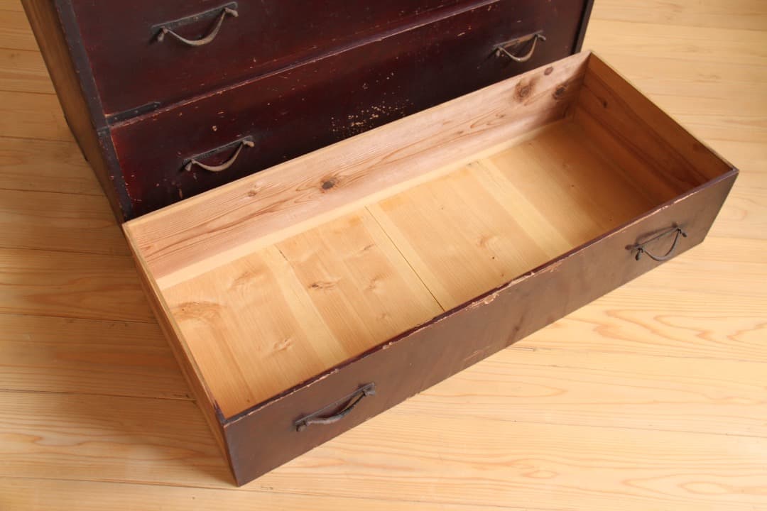 【アップルミント】