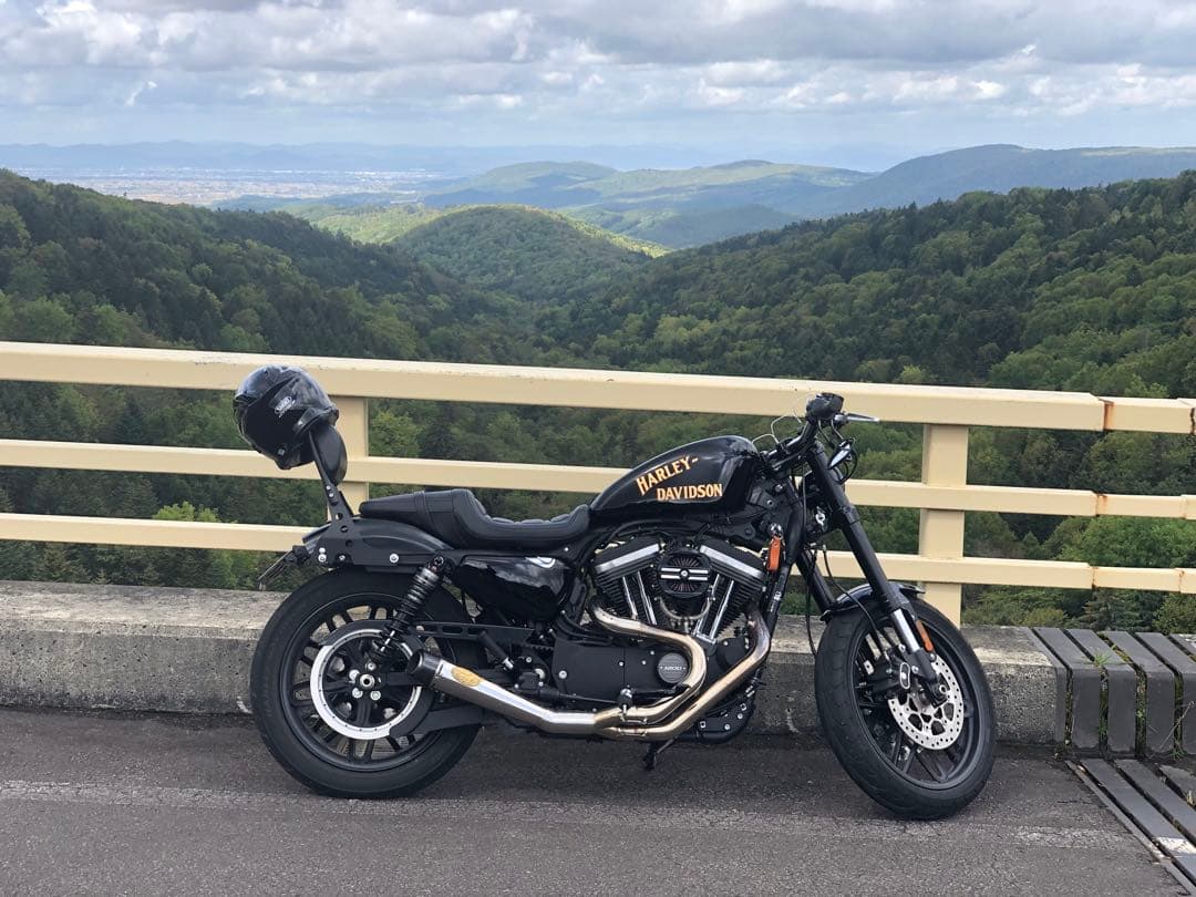 XL1200Xマフラー　RSD VANCE & HINESコラボスポーツスター