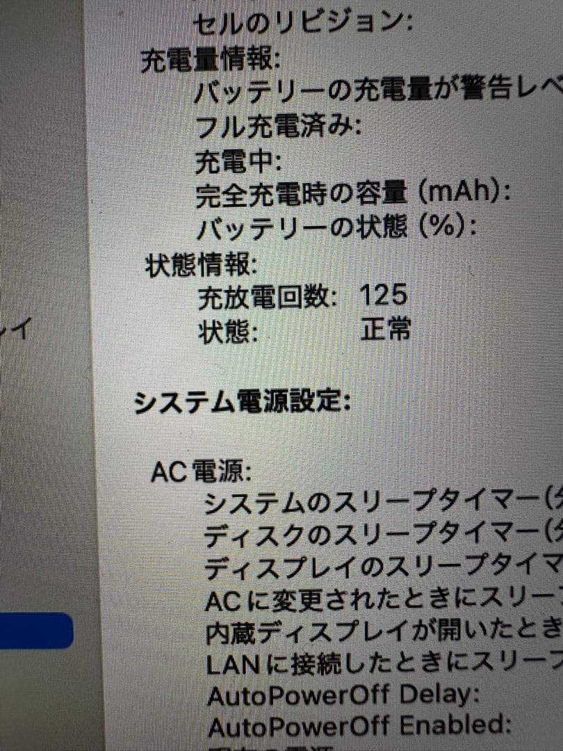 【2024年】Macbook Pro メモリ8GB SSD 256GB 純正