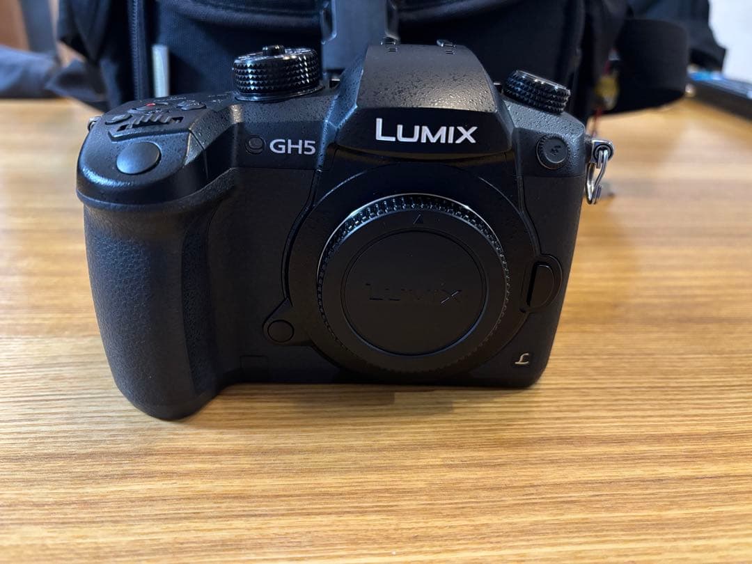 【最終値下げ】LUMIX GH5 ミラーレス一眼 GVARIO12-32mm