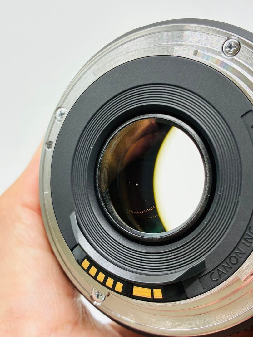 Canon EOS 6D Mark II レンズ2本セット