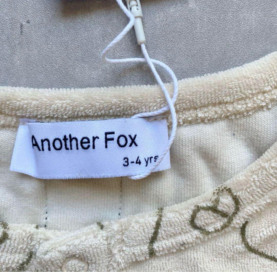 Another fox 4点セット