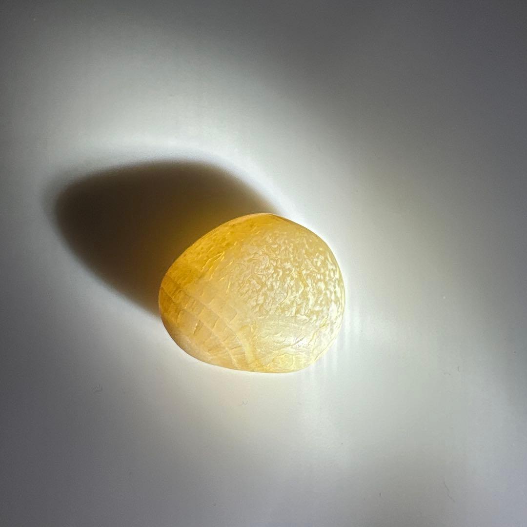 青森県をまるっと堪能できちゃう津軽塗の小箱＋赤いタコちゃんジャスパー付