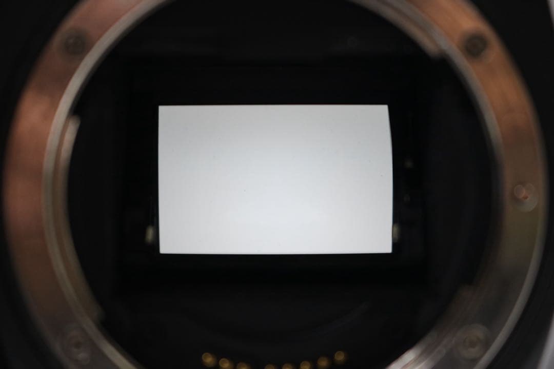 美品 【Canon EOS 5D Mark Ⅳ トリプルレンズセット】 安心保証