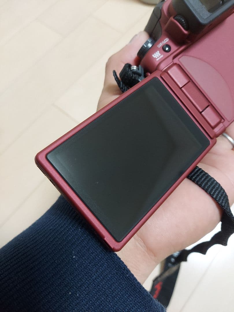 極美品　Panasonic LUMIX DMC-GH1 動作確認済み