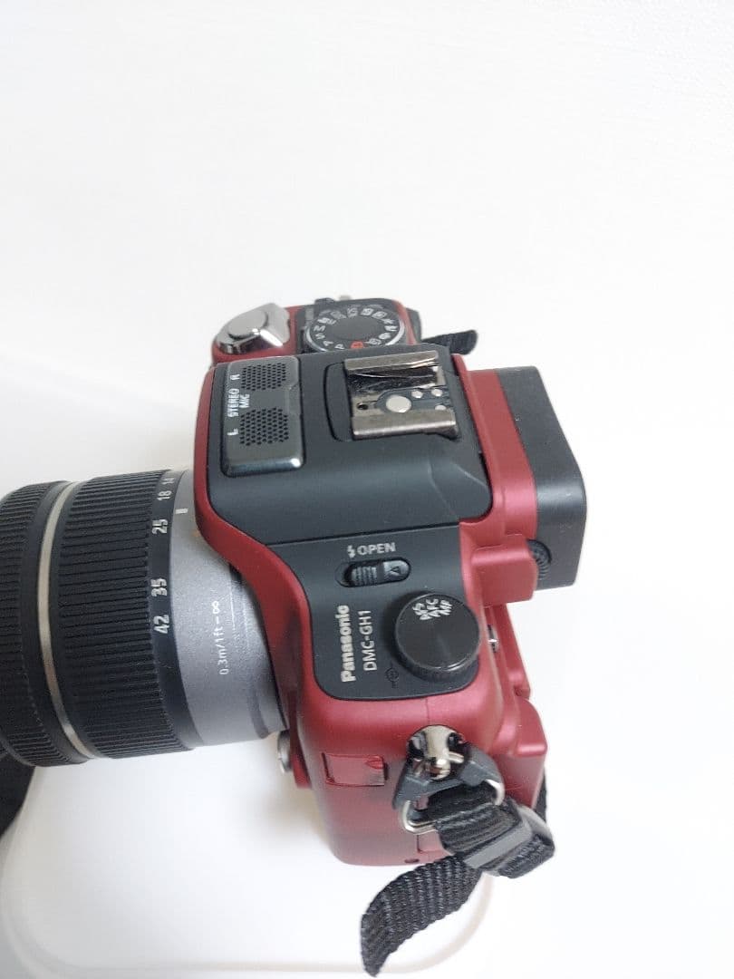 極美品　Panasonic LUMIX DMC-GH1 動作確認済み