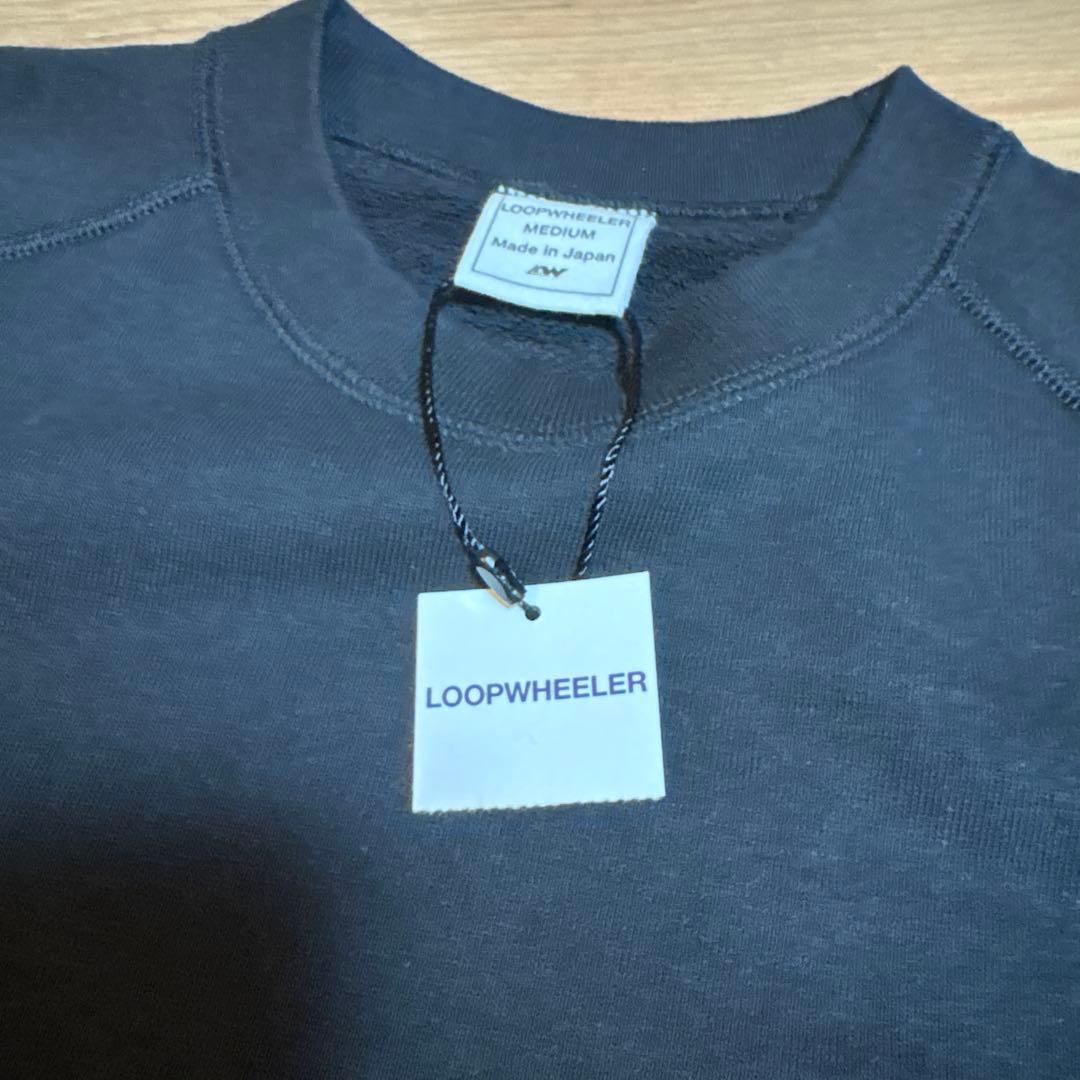 ループウィラー LW313 ブラック Mサイズ