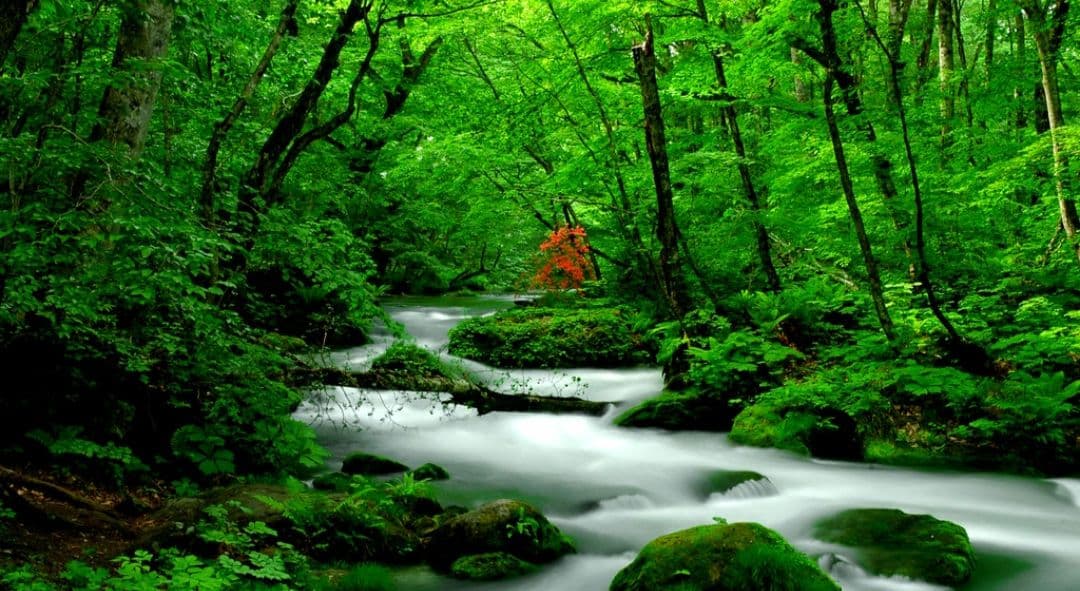 NIKON　D70　広角から超望遠まで⚡️初心者⚡️一眼レフ⚡️ニコン